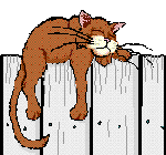 ANICAT3.GIF
