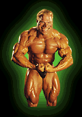 FLEXAN.GIF
