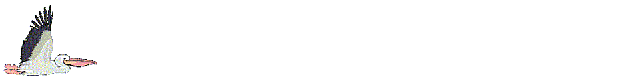 PELICAN.GIF