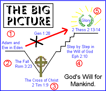 Topic8
