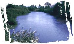 jor009th.jpg (48956 bytes)