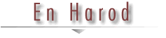 En_Harod