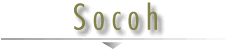 Socoh