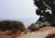 coastal_plain_2.jpg (8428 bytes)