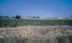 coastal_plain_3.jpg (4111 bytes)