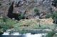 golan_2.jpg (6970 bytes)