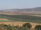 jezreel_valley_5.jpg (15405 bytes)