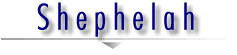 shephelah