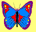 width="117"